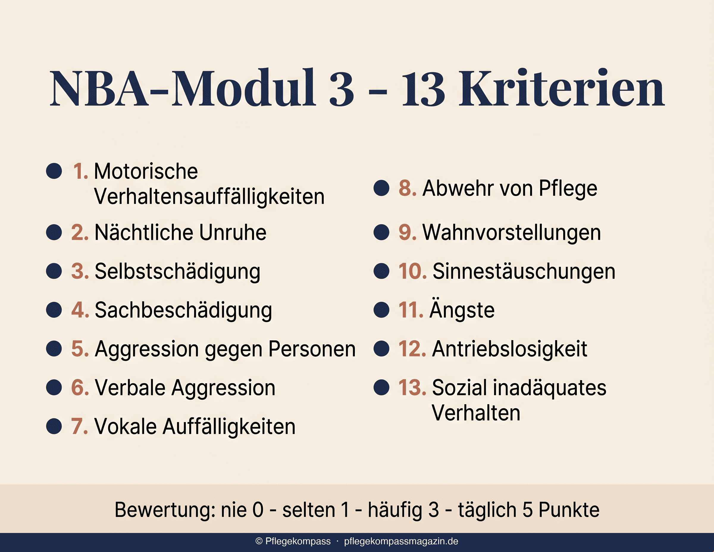 Infografik: Die 13 Kriterien von NBA-Modul 3 — von motorisch geprägten Verhaltensauffälligkeiten bis zu sozial inadäquaten Verhaltensweisen