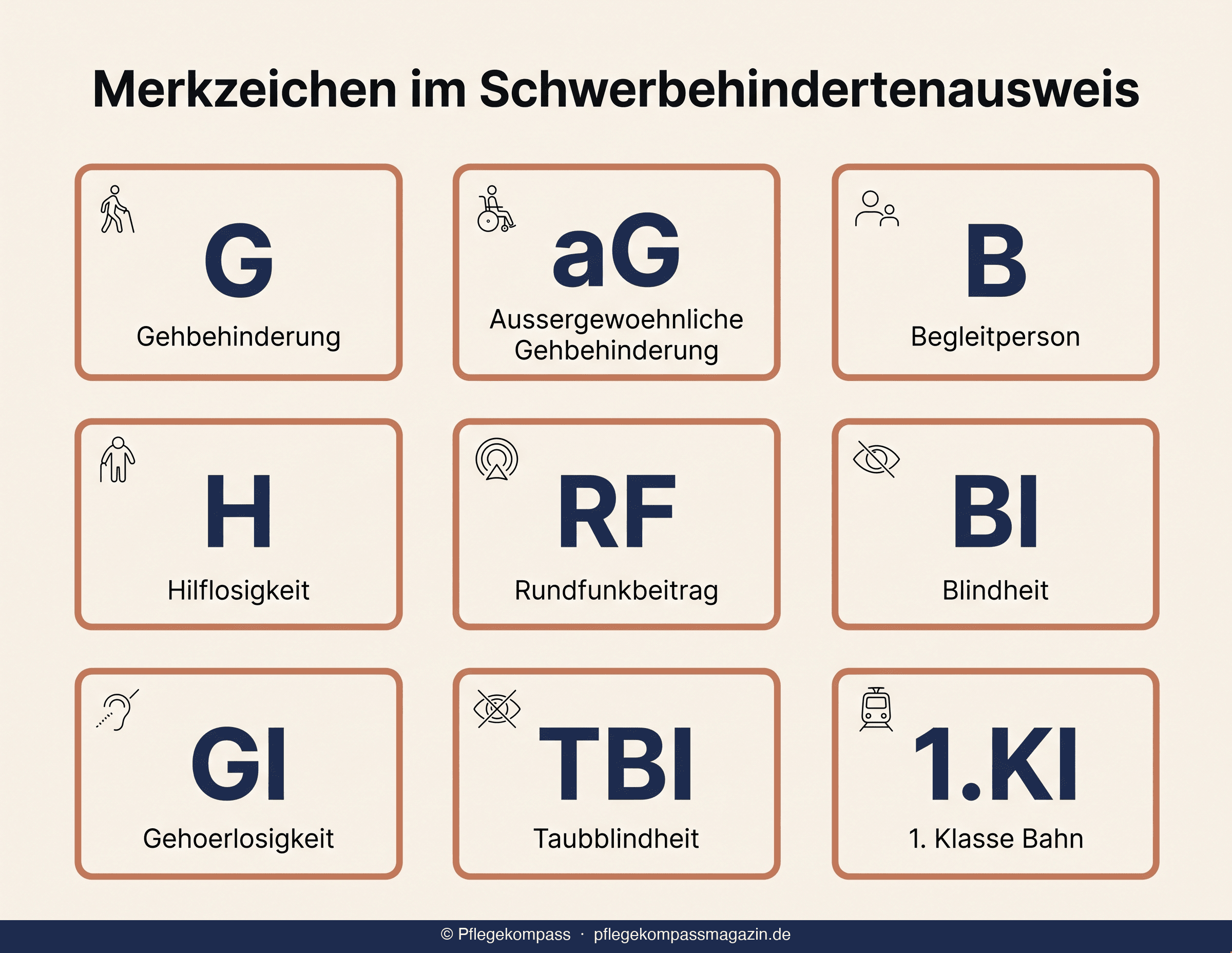 Infografik 9 Merkzeichen Schwerbehindertenausweis 2026 — G aG B H RF Bl Gl TBl 1.Kl