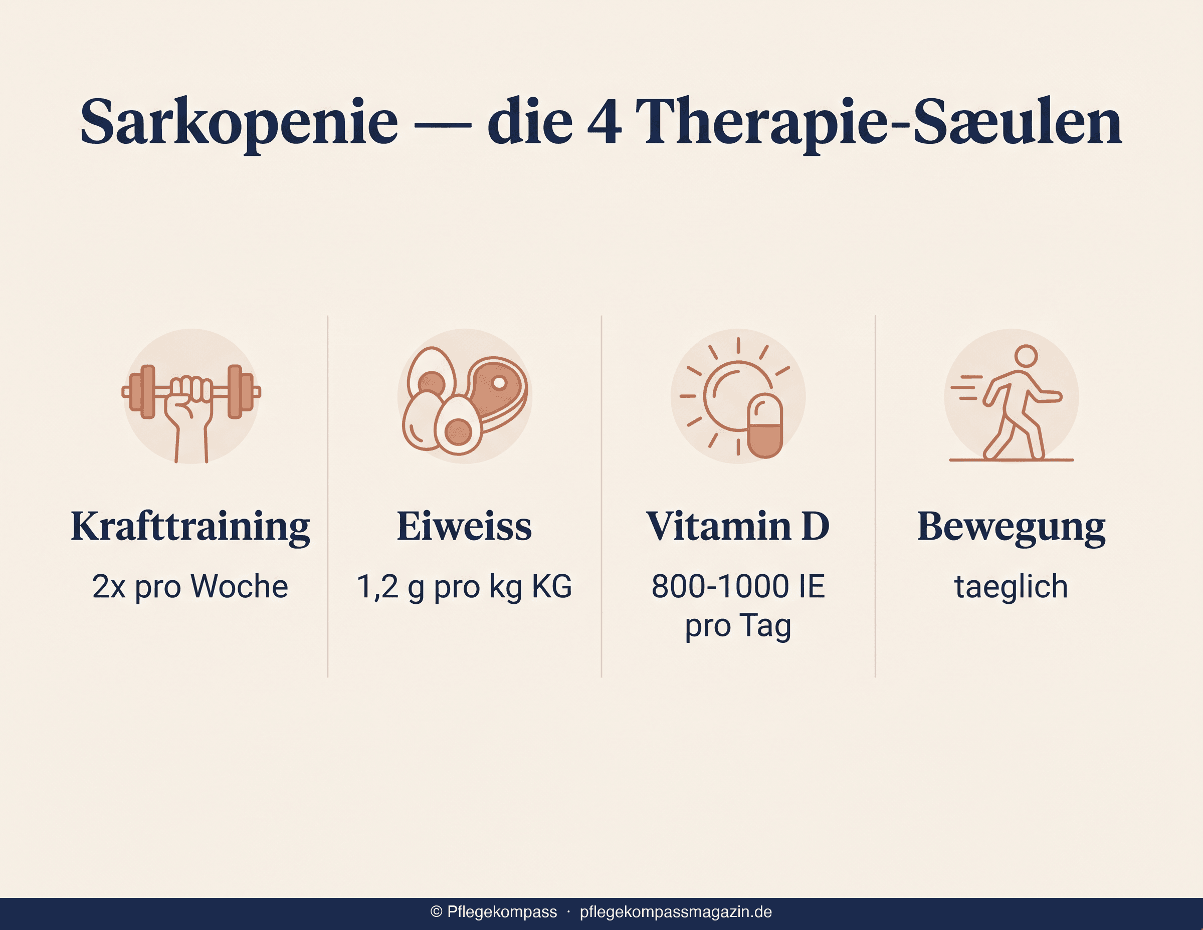 Sarkopenie Therapie 4 Säulen — Krafttraining, Eiweiß, Vitamin D, Bewegung